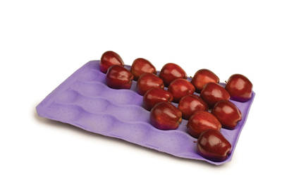 KEYES FIBRE PULP TRAY PACK